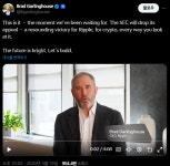 리플 CEO SEC 항소 철회, 가상자산 업계의 승리