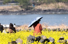 [오늘날씨] 낮 최고 26도 완연한 봄 날씨… 미세먼지 주의
