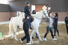 멀게만 느껴지던 스포츠 ‘승마’ 국민 가까이…마사회 ‘힐링승마 2.0’ 사업 개시