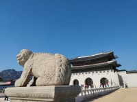 버려진 도읍 후보지, 계룡산 [정명섭의 실록읽기⑦]