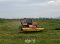 유전자 분석 기반 개량 등 통해 한우 출하월령 단축…생산성·수익성 ‘극대화’[축산업 혁신③]