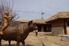 향기가 머무는 곳 [조남대의 은퇴일기(70)]
