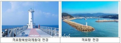 해수부, 5월 해양생물 ‘대황’ 선정···어촌여행지 인천 포내마을