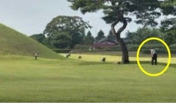 외국인 놀라게 한 무개념 男, 왕릉서 골프연습...경주시 반응은?