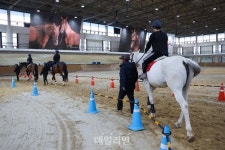 과천 시민 대상 무료 승마 교실 운영…지역 맞춤 승마 문화 확산