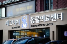 스마트 동물병원 신사본원, 시그니처 동물의료센터로 병원명 변경…15년 진료 철학 담은 새 출발