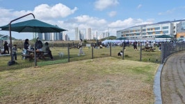 [안산소식] 안산 와스타디움 반려견 놀이터, 3월 1일 재개장