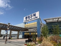 [르포] 노인정서도 김부겸이라 칸다 그래도 국민의힘…요동치는 보수의 심장 대구