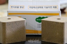 저가 수입산 밀어낸 ‘10kg의 승부’…알지 미네랄블록의 도전[청춘농담④]