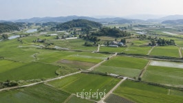 농지 전수조사에 커진 강제 처분 우려…정부 “위반 농지 모두 처분 아냐”