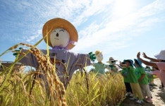 아침 최저 11도·낮 최고 30도 '전국 맑고 큰 일교차'…절기 추분 뜻과 유래는 [오늘 날씨]