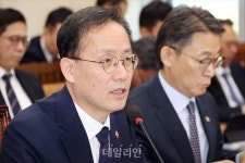 국감 답변하는 이형일 부총리 겸 재정경제부 장관