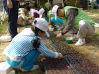 SKC, 장애인 자활농장 일손돕기 구슬땀