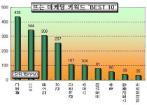 “마케팅 키워드로 블로그와  UCC가 뜬다”