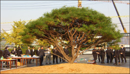 구로세관, 청렴성 교육…청렴 소나무 식수