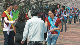 군산세무서, 벚꽃가요제·예술제에서 근로장려세제 홍보