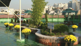 꽃피는 동작세무서‥옥상을 정원으로 활용