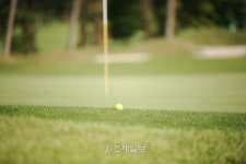 [2011 조세일보배(杯) 골프대회][포토]재무인들의 축제, 조세일보 杯 골프대회 이모저모