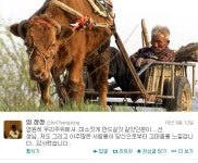 임창정, 워낭소리 할아버지 별세 소식에 감사했습니다