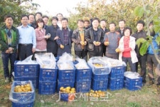 [해남세무서] 1사1촌 농촌 봉사활동