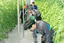 [광양세관] 노인복지센터 방문 봉사활동