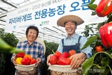 파리바게뜨, 강진에 파프리카 전용농장 오픈