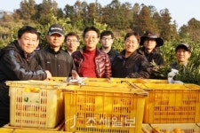 [제주세관] 감귤농가 일손돕기 봉사 활동