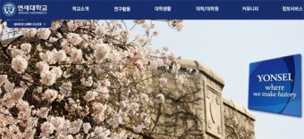 연세대교수 시국선언, 