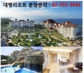 대명리조트 콘도회원권, 만기 시 전액반환제, 다양한 혜택이 있는 특별분양!