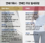 [테마분석]연예인 탈세, 실태와 해법은? ②공생하는 기획사·연예인 탈세법은 제각각