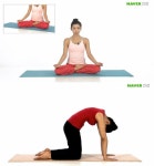 식사 후 속이 더부룩하다면? 소화 잘 되는 자세 화제