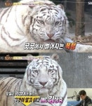 동물농장 김상중, 백호 탐정 빙의해 그것이 말입니다 멘트 날려