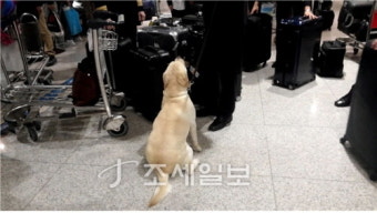 [인천공항세관]'우표'형태 신종 마약 국내최초 적발