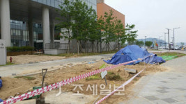 [나성동 Story] 국세청사 떠난 저승사자…직원들 속이 다 시원하네