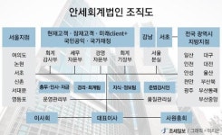 [회계법인 열전] 안세회계법인① 컨설팅계의 새 강자…현장 밀착형 서비스로 승승장구