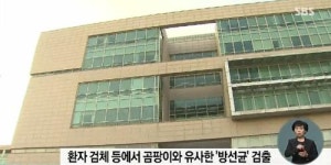 건대 집단폐렴 원인, 사료서 증식한 방선균 추정…환기시스템 의해 확산
