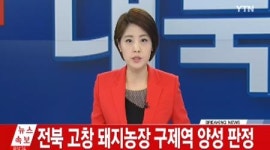 [속보] 전북 김제 이어 고창서도 구제역 양성 판정