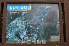 구석구석 슬로슬로 제주도 도보여행 ⑥ 아름다운 숲길·오름에 둘러싸인 교래…낯선 풍경과의 대화 어떠세요?