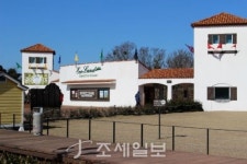 구석구석 슬로슬로 제주도 도보여행 ⑥ 아름다운 숲길·오름에 둘러싸인 교래…낯선 풍경과의 대화 어떠세요?