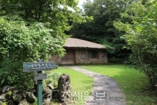 구석구석 슬로슬로 제주도 도보여행 ⑥ 아름다운 숲길·오름에 둘러싸인 교래…낯선 풍경과의 대화 어떠세요?