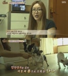 동물농장 이의정, 유기견 와와 입양…강아지 공장 공포 그 자체