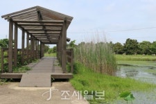 구석구석 슬로슬로 제주도 도보여행 ⑧ 동화 같은 신촌 돌담길 걷다가 조천 마을 이르니 바다가 앞 마당