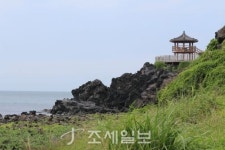 구석구석 슬로슬로 제주도 도보여행 ⑧ 동화 같은 신촌 돌담길 걷다가 조천 마을 이르니 바다가 앞 마당