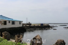 구석구석 슬로슬로 제주도 도보여행 ⑧ 동화 같은 신촌 돌담길 걷다가 조천 마을 이르니 바다가 앞 마당