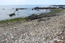 구석구석 슬로슬로 제주도 도보여행 ⑪ 은어떼 올라오는 걸레스님 고향 도평동…이호 해변 밤 경치는 이국 취향