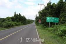 구석구석 슬로슬로 제주도 도보여행 ⑫ 산록 도로따라 걷는 한라산 비밀의 숲…산수국의 향연, 신선이 따로 없네
