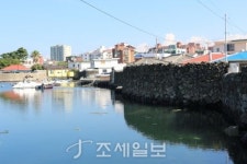 구석구석 슬로슬로 제주도 도보여행 ⑰ 낭랑십팔세 백난아의 고향 명월~장쩌민이 극찬한 한림공원, 볼거리·먹거리 풍성