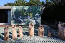 구석구석 슬로슬로 제주도 도보여행 ⑲ 서귀포 치유의 숲길서 힐링…편백나무 향·자연의 소리 음미하며 일상 탈출