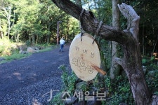 구석구석 슬로슬로 제주도 도보여행 ⑲ 서귀포 치유의 숲길서 힐링…편백나무 향·자연의 소리 음미하며 일상 탈출