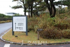 구석구석 슬로슬로 제주도 도보여행 (27) 삼나무 우거진 마보기 오름 산책길 굿…자연의 빛 방주교회 둘러볼 만